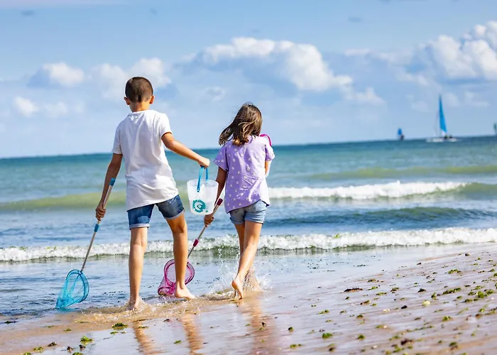 T3 En Bord De Pour - Fr-1-92-644 * 莱萨布勒-多洛讷